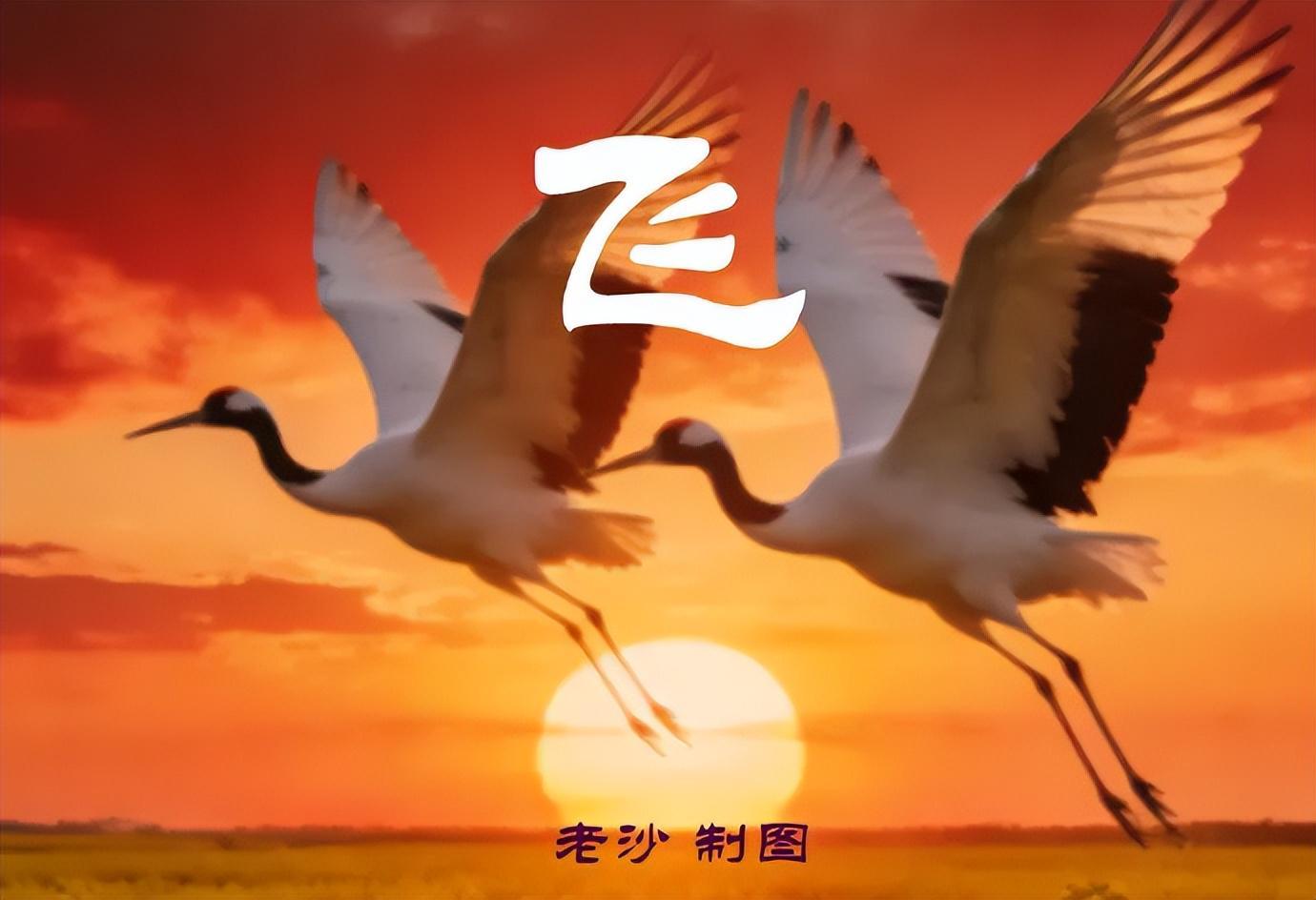开云注册网址-4.28股市早8点丨英伟达疯了谷歌飙了